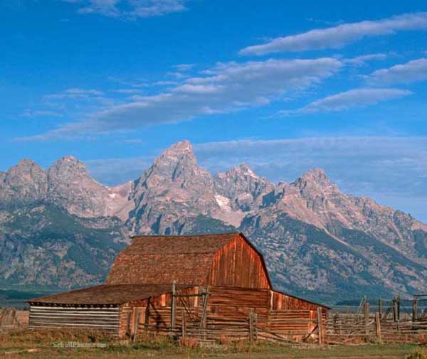 Grand Tetons Mormon Barn Note Card