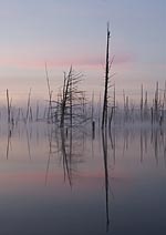 Misty Floodwater Note Card